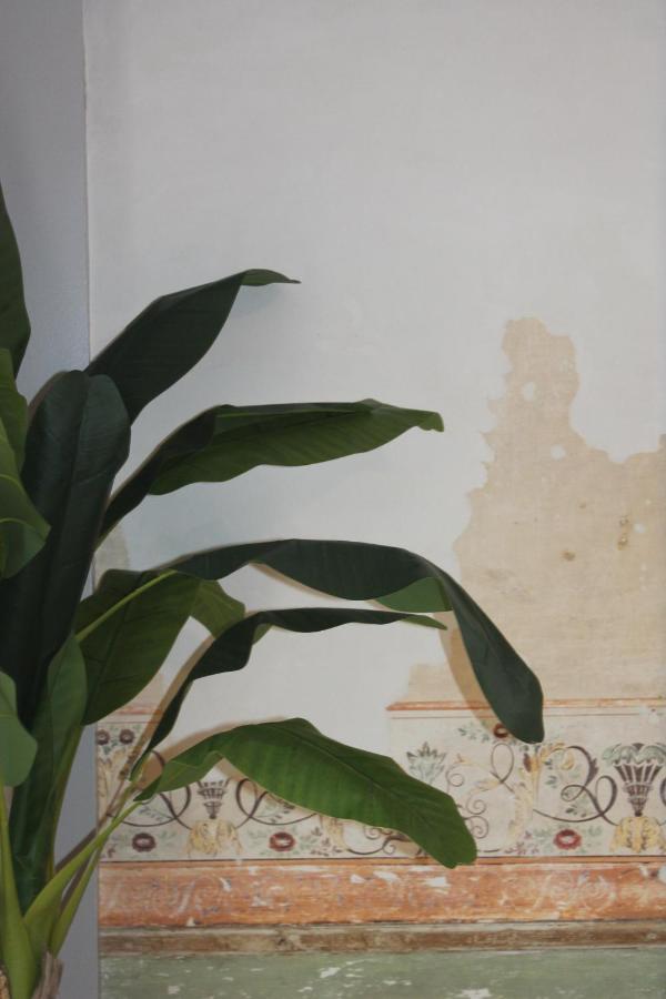 Casa Das Quatro Cabecas Setubal Luaran gambar